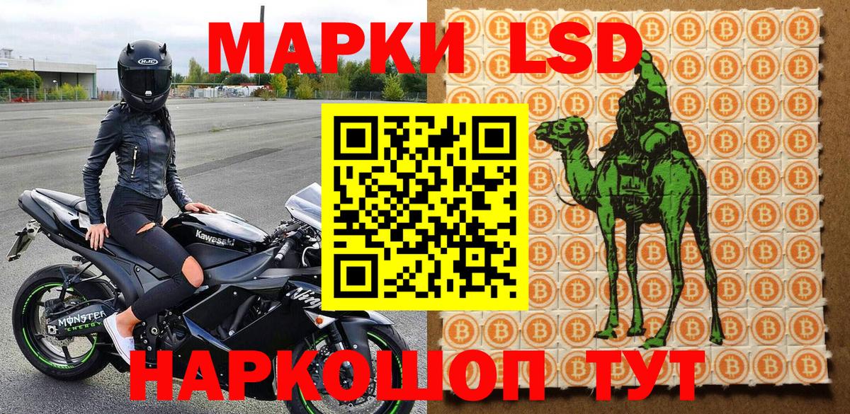 Губкин  Наркотические марки  Вход с VPN  Наркотические марки 1,8мг 