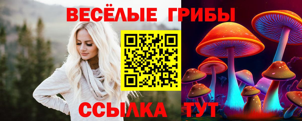 хочу   Псилоцибиновые грибы Psilocybine cubensis  Галлюциногенные грибы мухоморы  Вход с VPN  Губкин 
